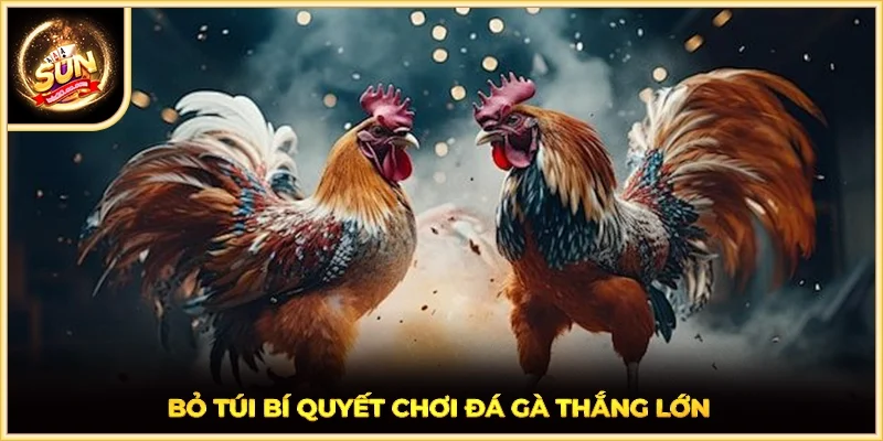 Bỏ túi bí quyết chơi đá gà thắng lớn