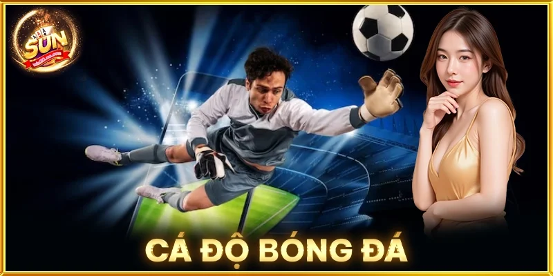 Cá Độ Bóng Đá