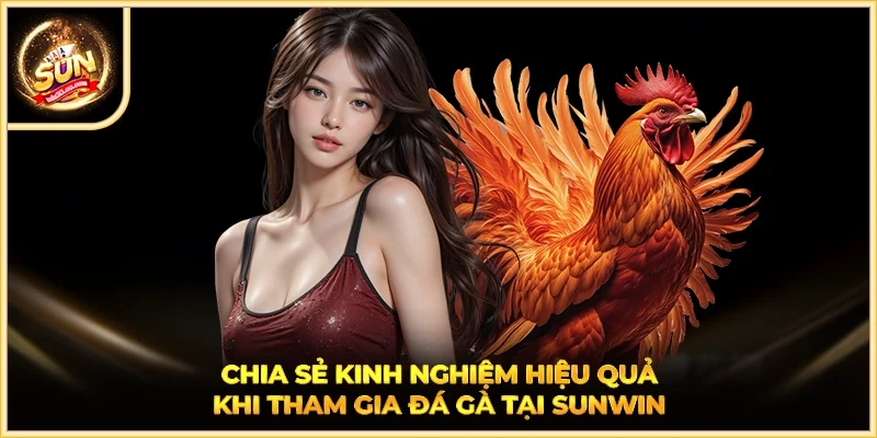 Chia sẻ kinh nghiệm hiệu quả khi tham gia đá gà tại SUNWIN