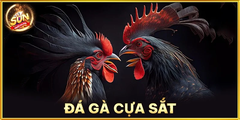 Đá Gà Cựa Sắt