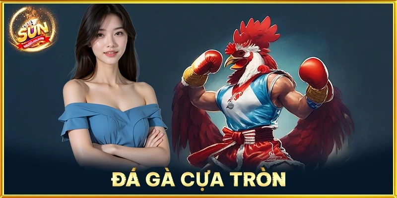 Đá Gà Cựa Tròn