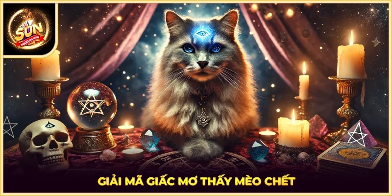 Giải mã giấc mơ thấy mèo chết