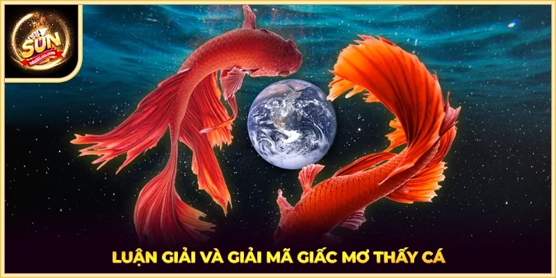 Luận giải và giải mã giấc mơ thấy cá