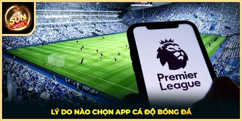 Lý do nào chọn app cá độ bóng đá