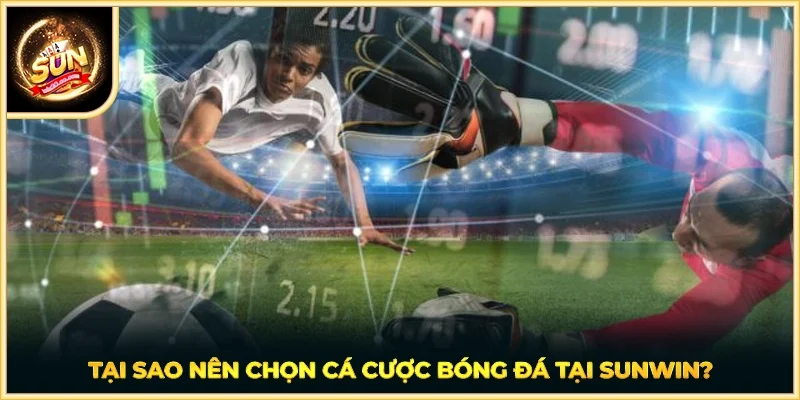 Tại sao nên chọn cá cược bóng đá tại SUNWIN?